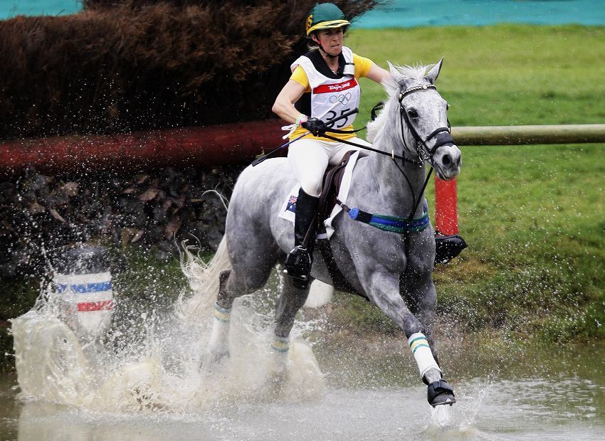 马术比赛中选手骑术高超夺冠 马术比赛中选手骑术高超夺冠